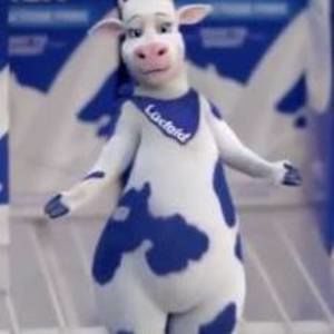 Meet your Posher, Lena